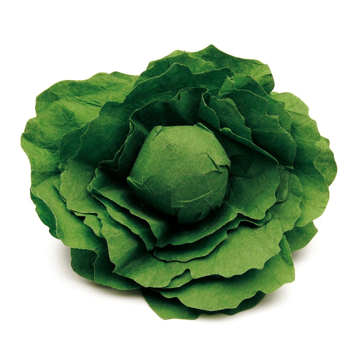 Erzi Kaufladen Gemüse Salatkopf
