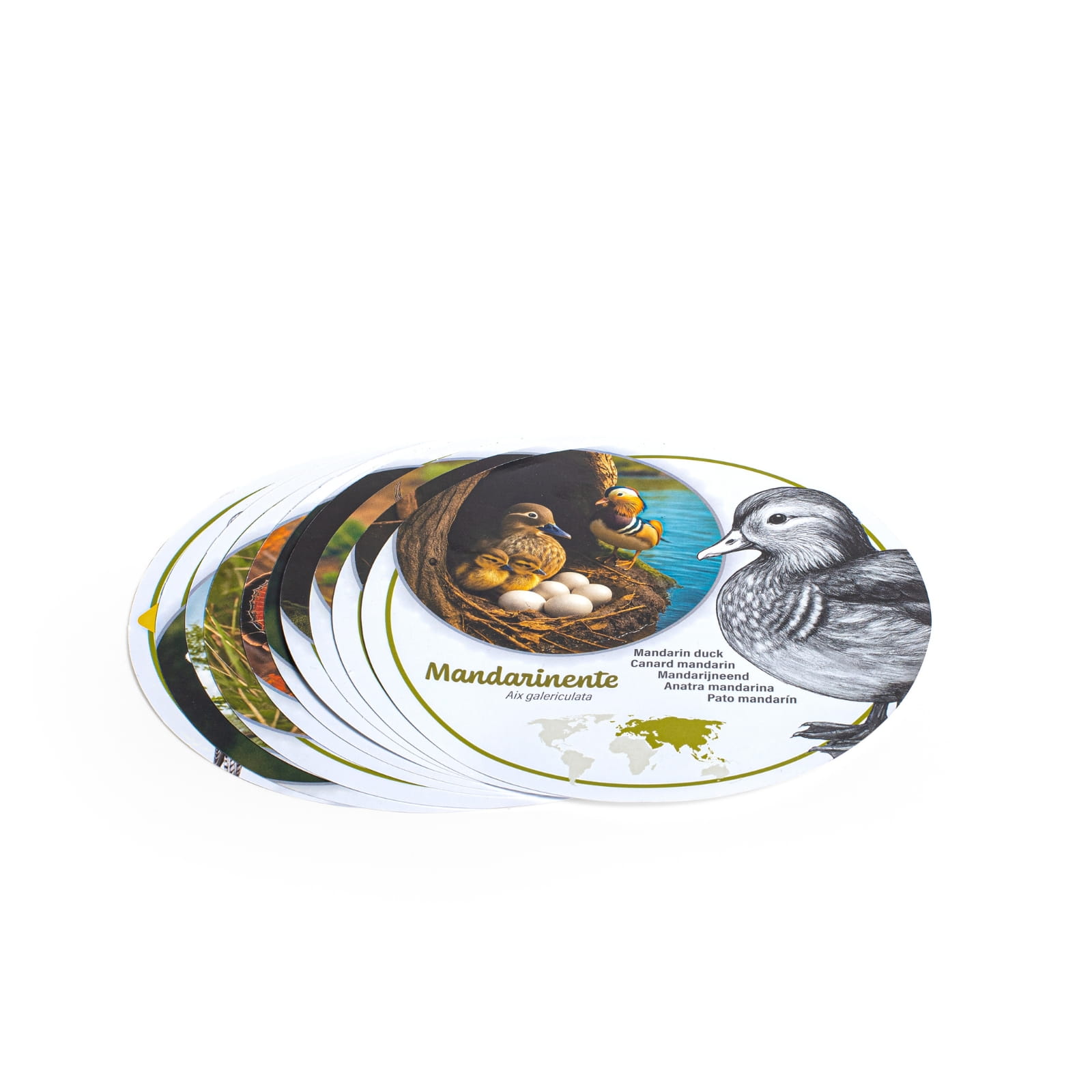 Erzi Entdecker-Set Vogeleier